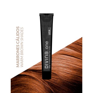 Divina.One Warm Browns Eva Professional Hair Care