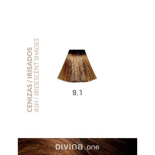 Divina.One Cenizas Irisados 9.1 Eva Professional Hair Care